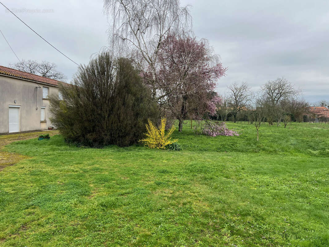 Maison à LA CHAPELLE-THEMER