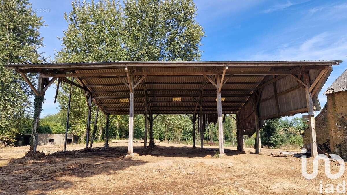 Photo 5 - Maison à COLLINEE