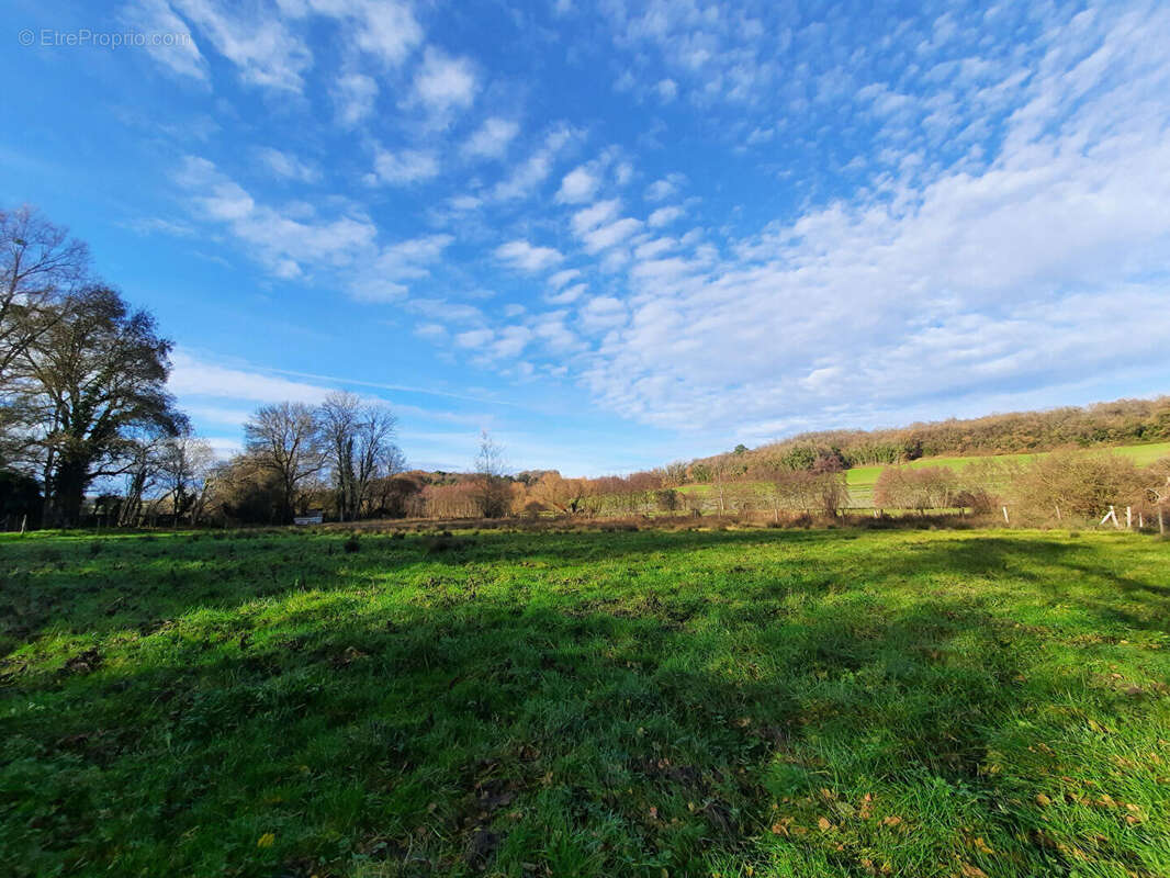 Maison à LE PETIT-PRESSIGNY