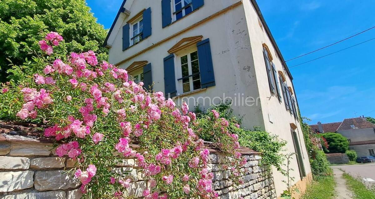 Maison à NOYERS