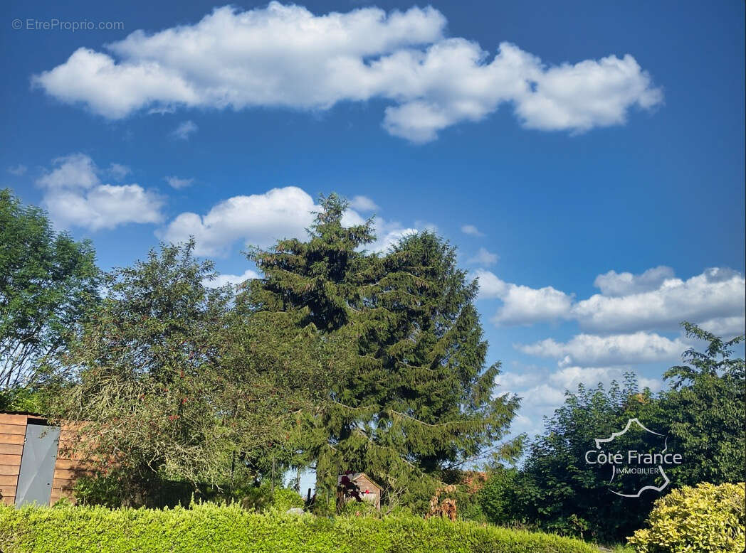 Maison à LA VALLEE-MULATRE