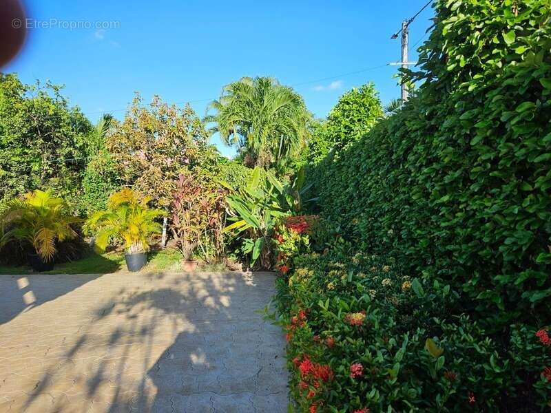 Maison à vendre 6 pièces SAINT FRANCOIS (971) - photo 12