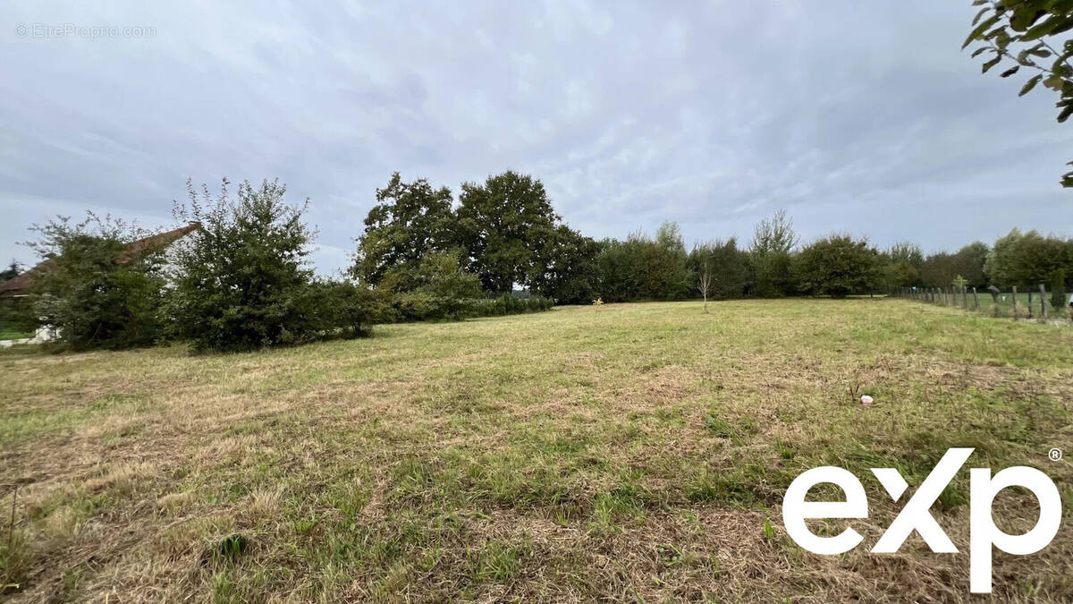Terrain à SAINT-ETIENNE-EN-BRESSE
