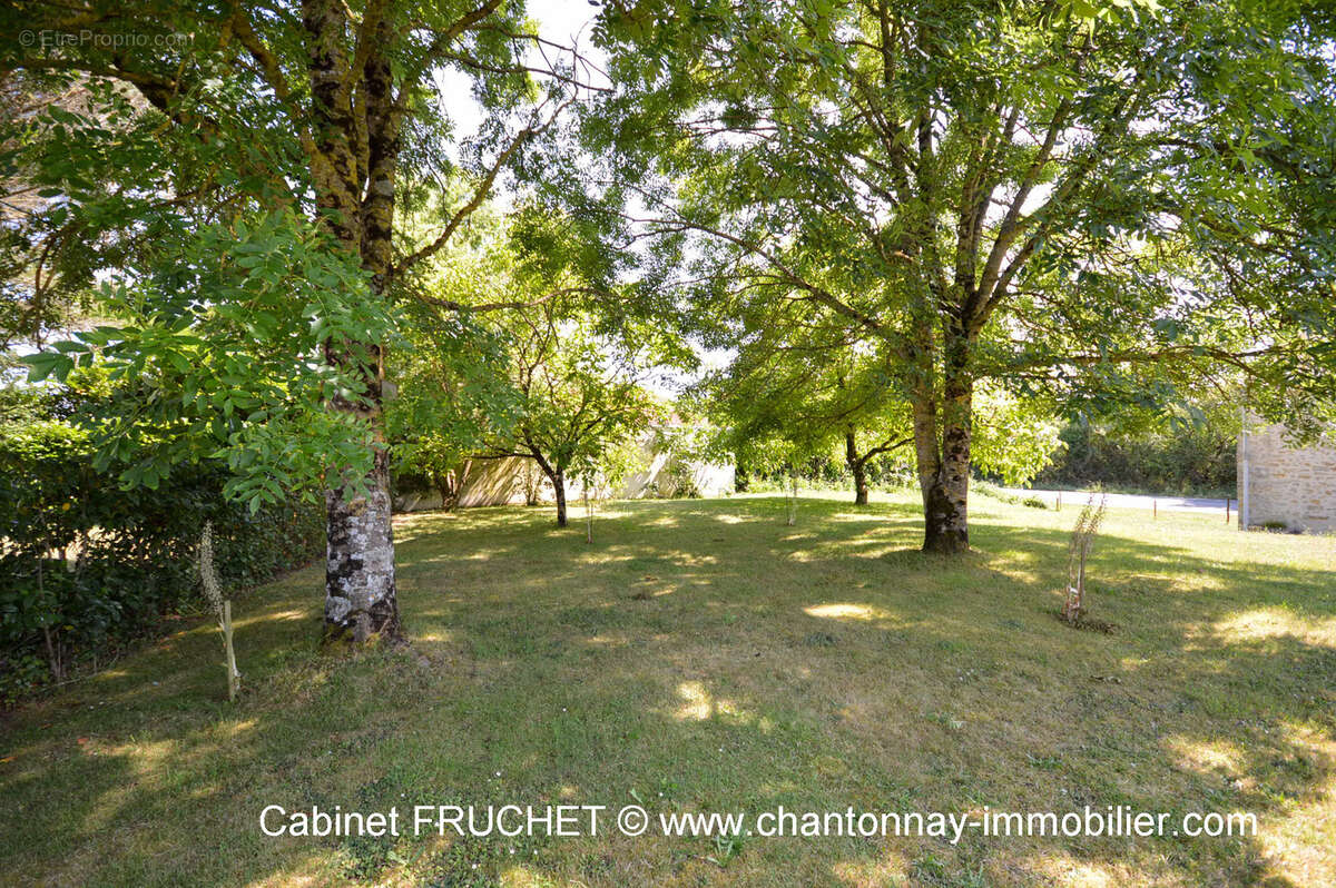 Maison à SAINTE-FLORENCE