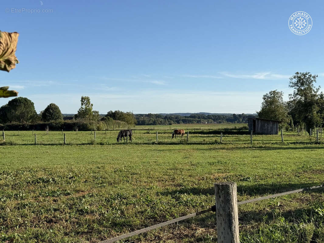 Centre équestre complet (Tarn-Occitanie) - photo 11