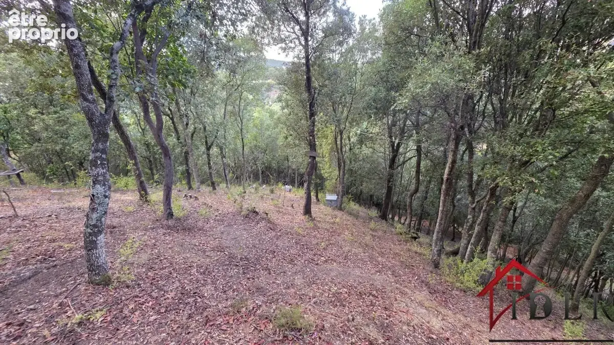 Terrain à ALATA
