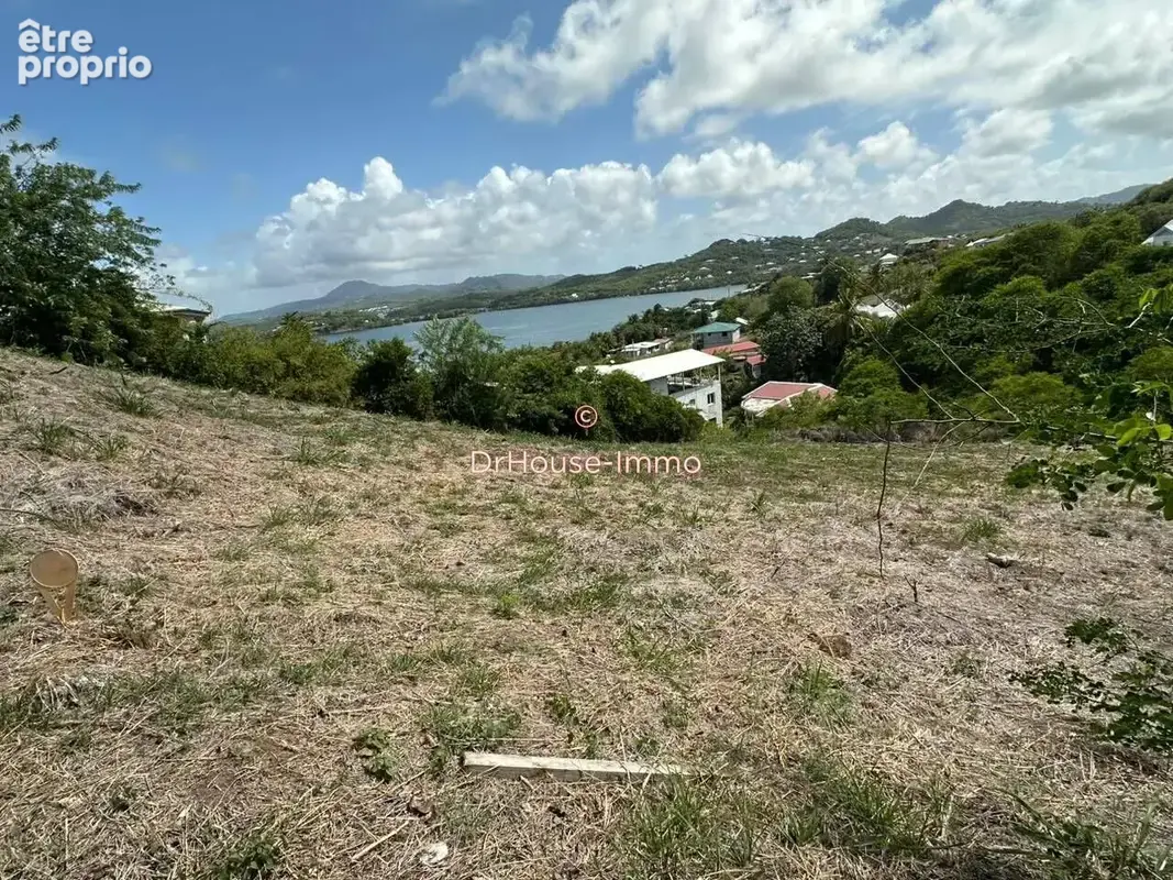 Terrain 3 699 m² à vendre à Le Robert (97231) - photo 10