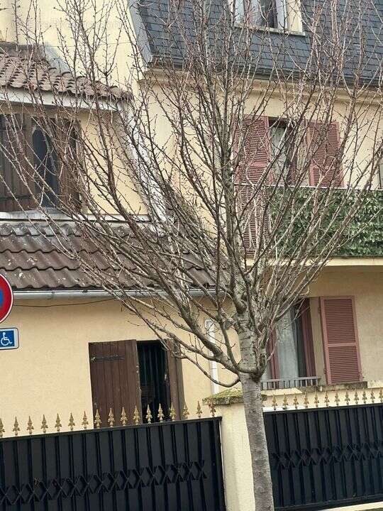 Maison à DRANCY