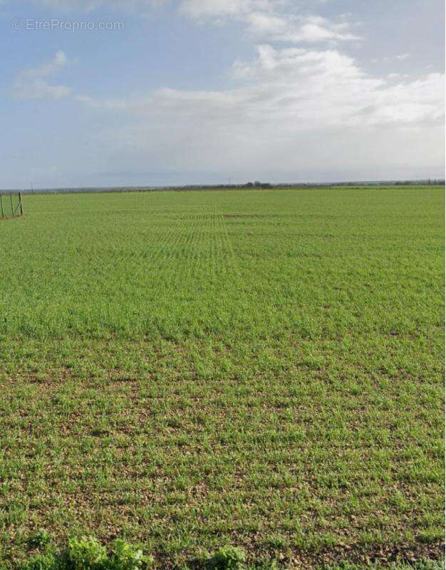 Terrain à SAINT-OUEN-D&#039;AUNIS