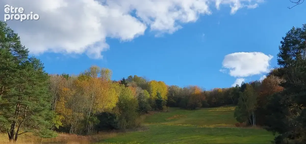 Exceptionnel !!! Ensemble immobilier sur 93 HA de terres avec ruisseau , sources ... - photo 12