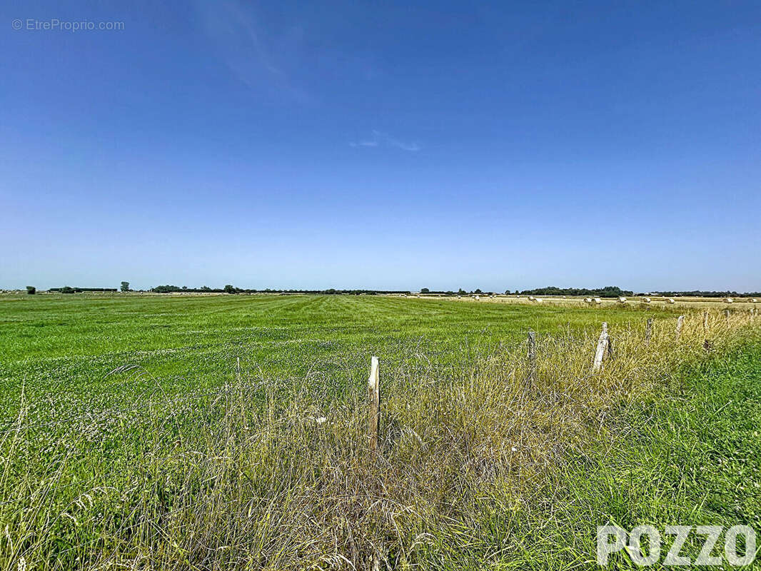 Terrain à BLAINVILLE-SUR-MER