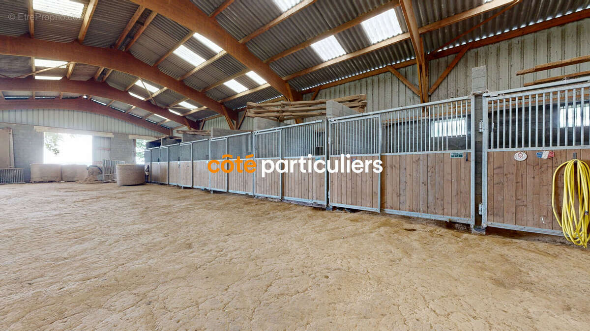 Propriété équestre 17 km Avranches commune de Brécey  175 m2 et bâtiment avec boxes sur 4 hectares. - photo 2