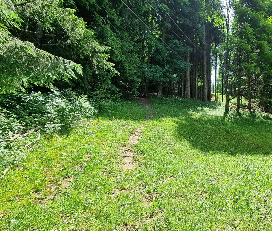 Appartement à MONT-SAXONNEX