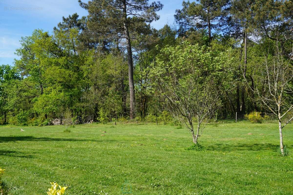Maison à SAINT-ROMAIN-ET-SAINT-CLEMENT