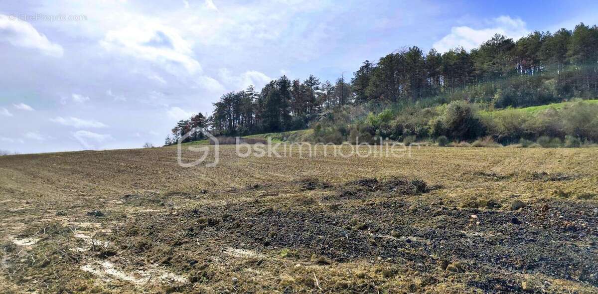 Terrain constructible 1 600 m² + 8 575 m² de terrain naturel – Proche Limoux - photo 6
