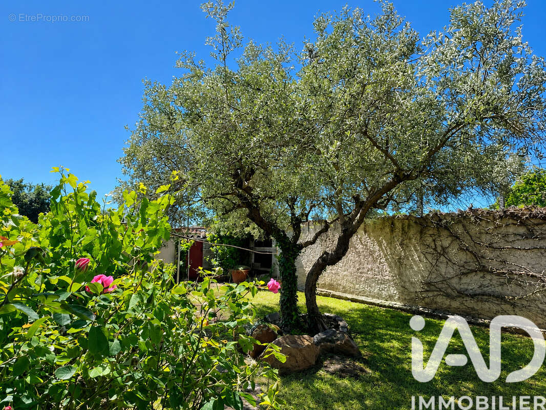 Photo 3 - Maison à PONT-SAINT-ESPRIT