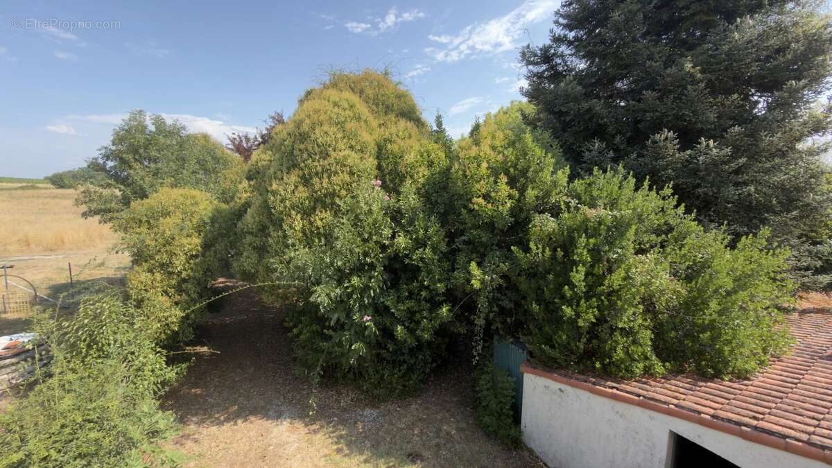 Maison Plassac - photo 2
