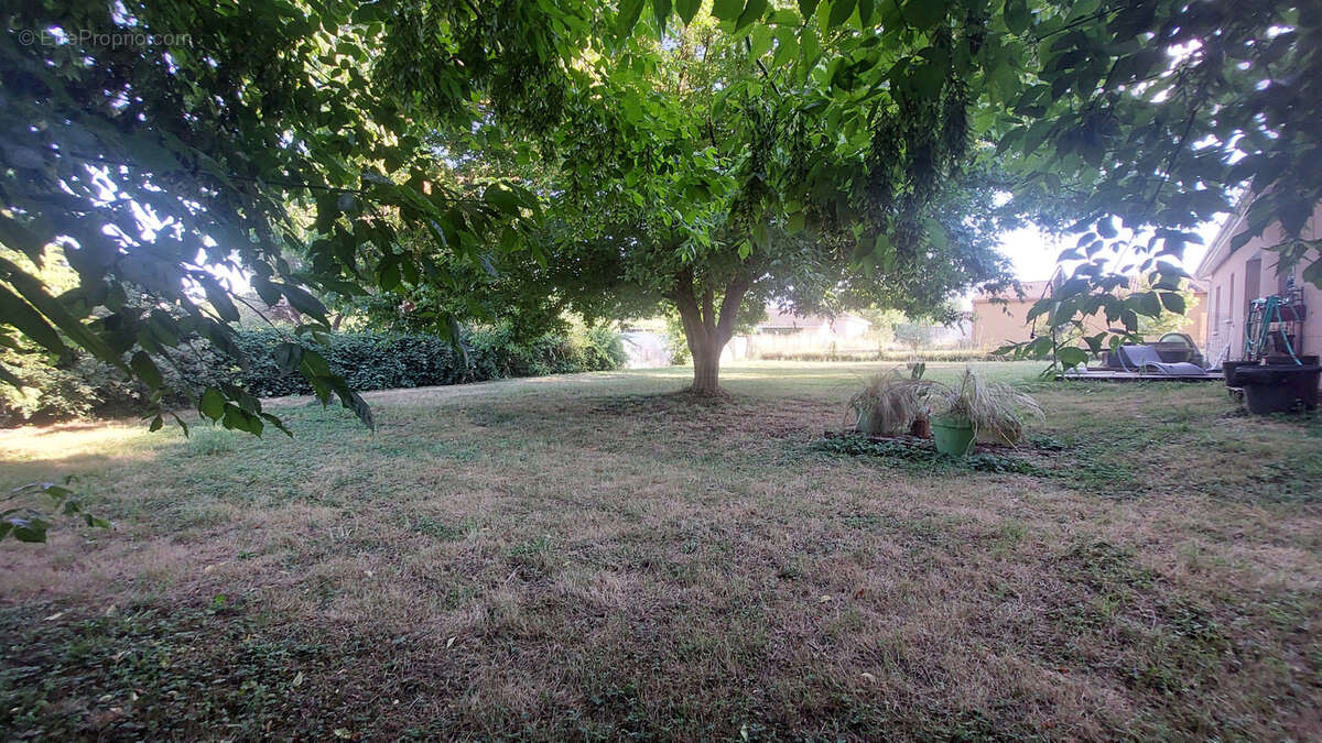 Maison de plain-pied de 102 m2 avec jardin de 1 200 m2   Proche La Réole - photo 13