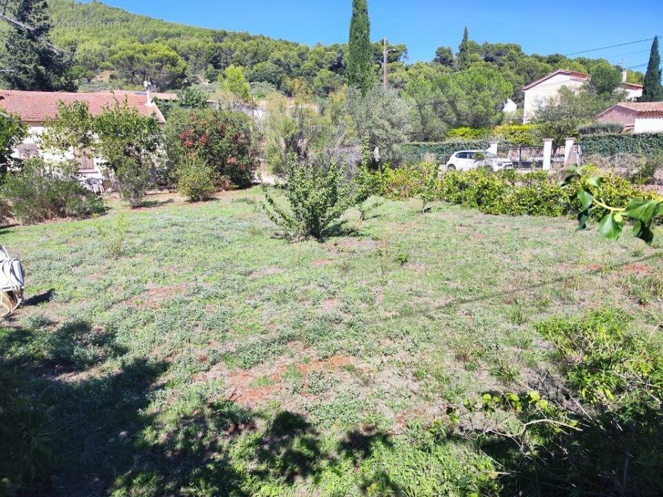 Terrain à PUGET-VILLE