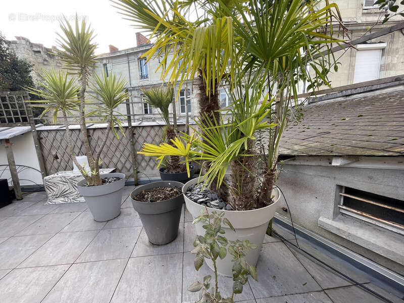 Produit unique sur saumur centre  120m2 habitable 3 chambres  100m2 de terrasse 1 place de parking privative - photo 10