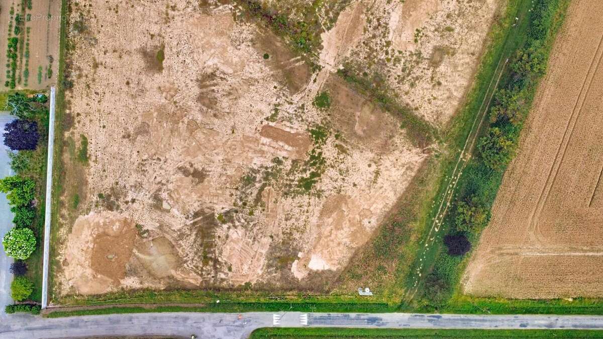 Photo 3 - Terrain à SAVENES