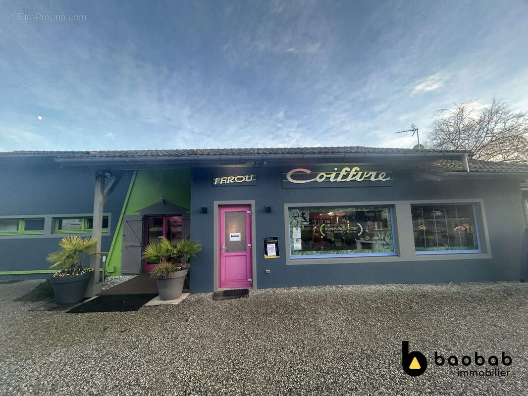 Autre à SAINT-ALBAN-DE-MONTBEL