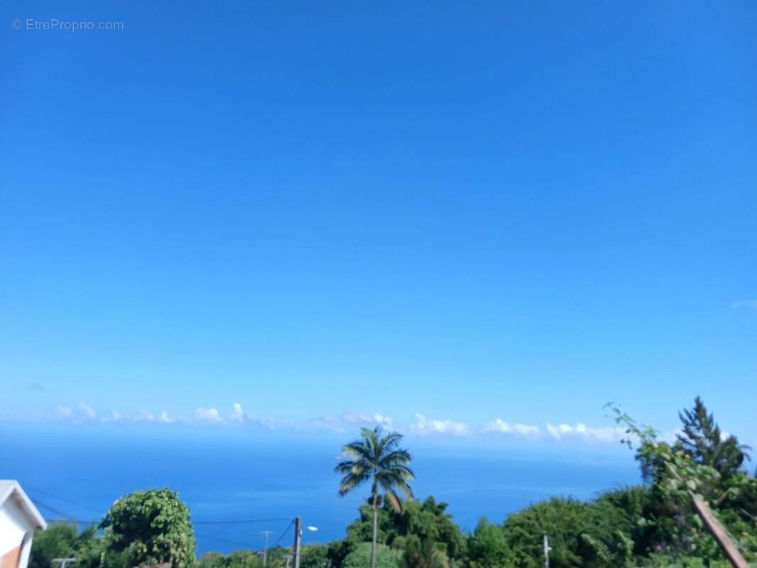 Terrain à LES TROIS-BASSINS