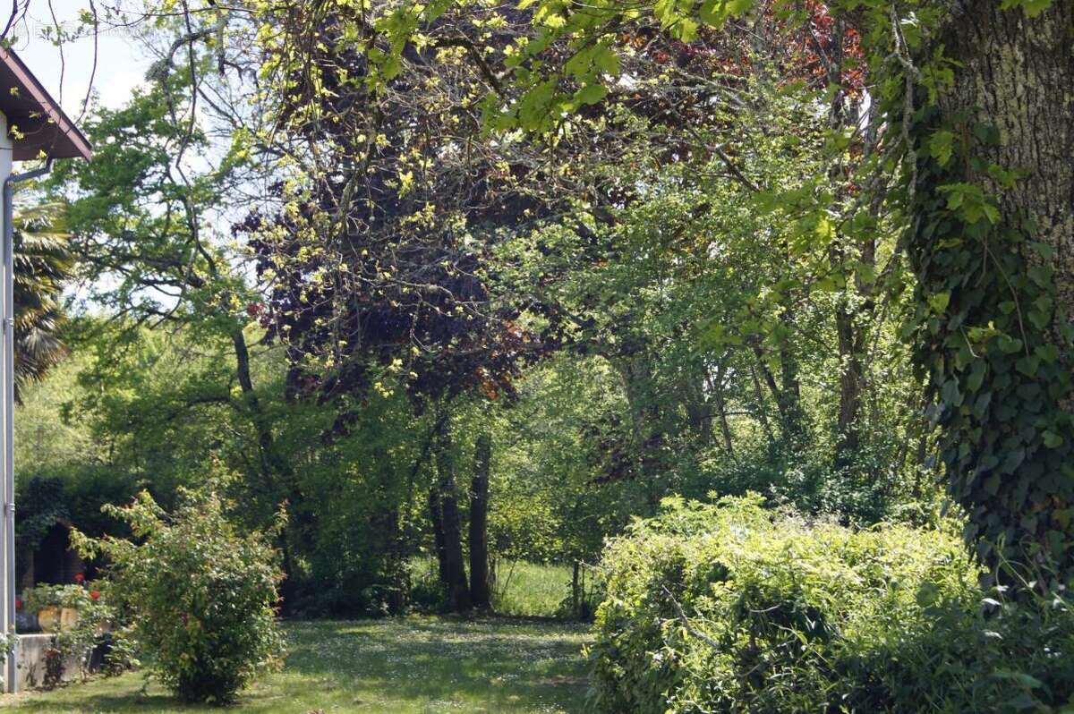 Croignon (gironde) - propriete de charme a la campagne - photo 7