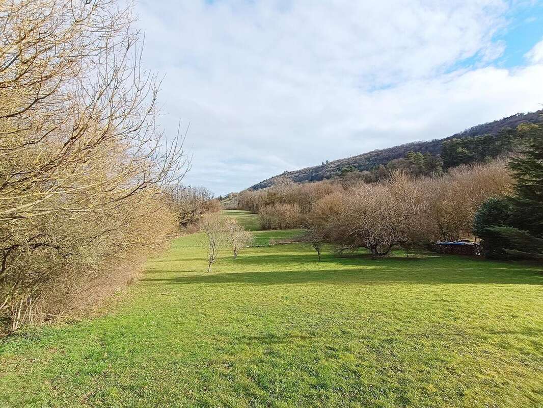 Photo 5 - Maison à SAINT-AMOUR