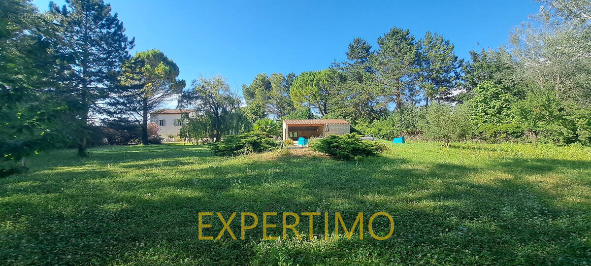 Villa 4 chambres sur grand terrain, au calme absolu. - photo 3