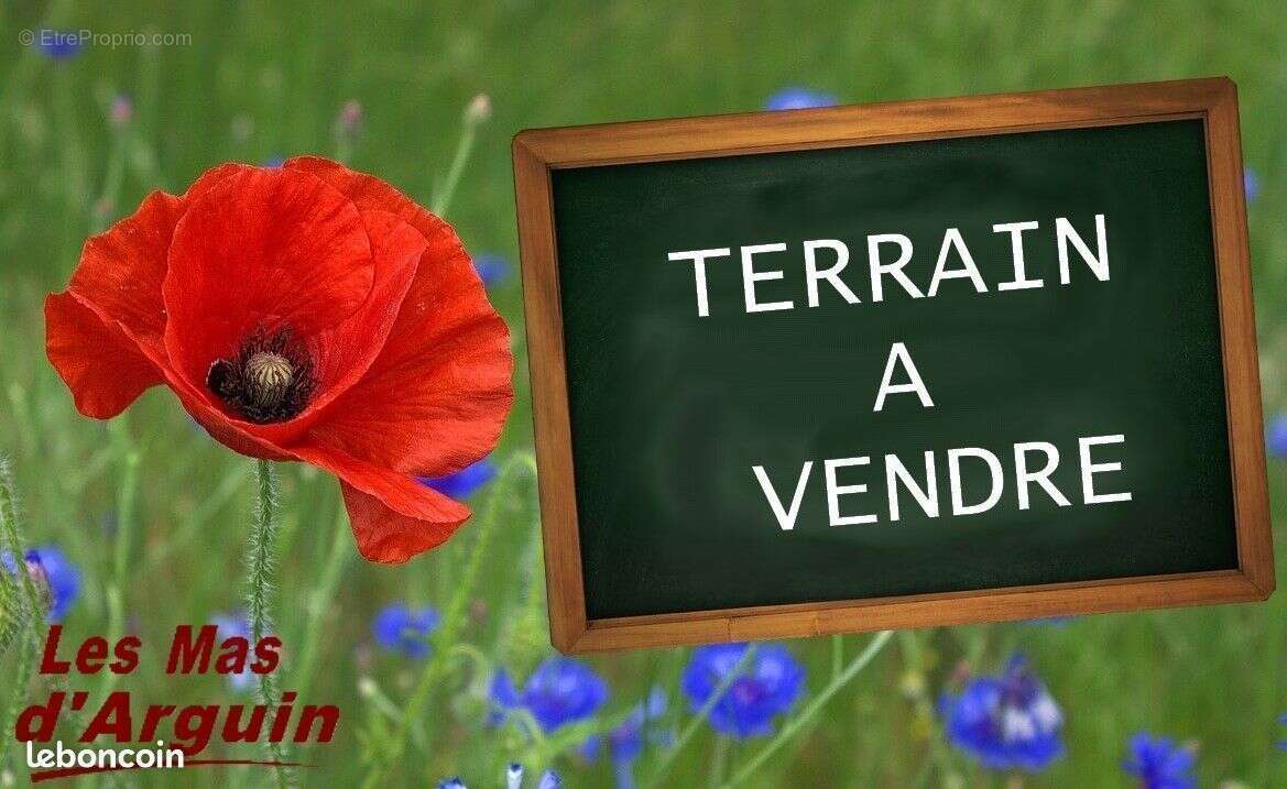 Terrain à BISCARROSSE