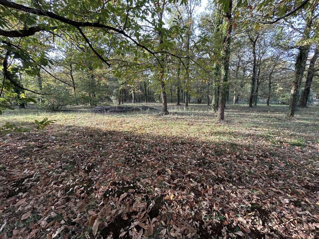 Maison à BRAY-EN-VAL