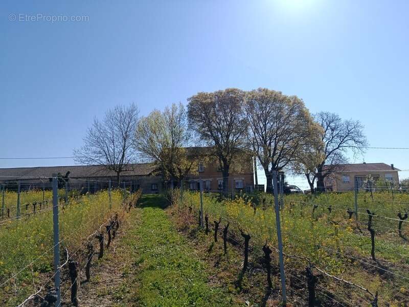 Maison à MONBAZILLAC