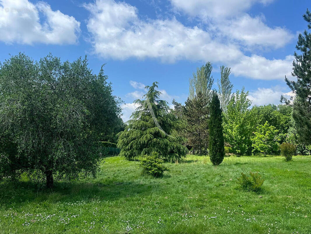 Terrain à MONTAUBAN