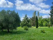 Terrain à MONTAUBAN