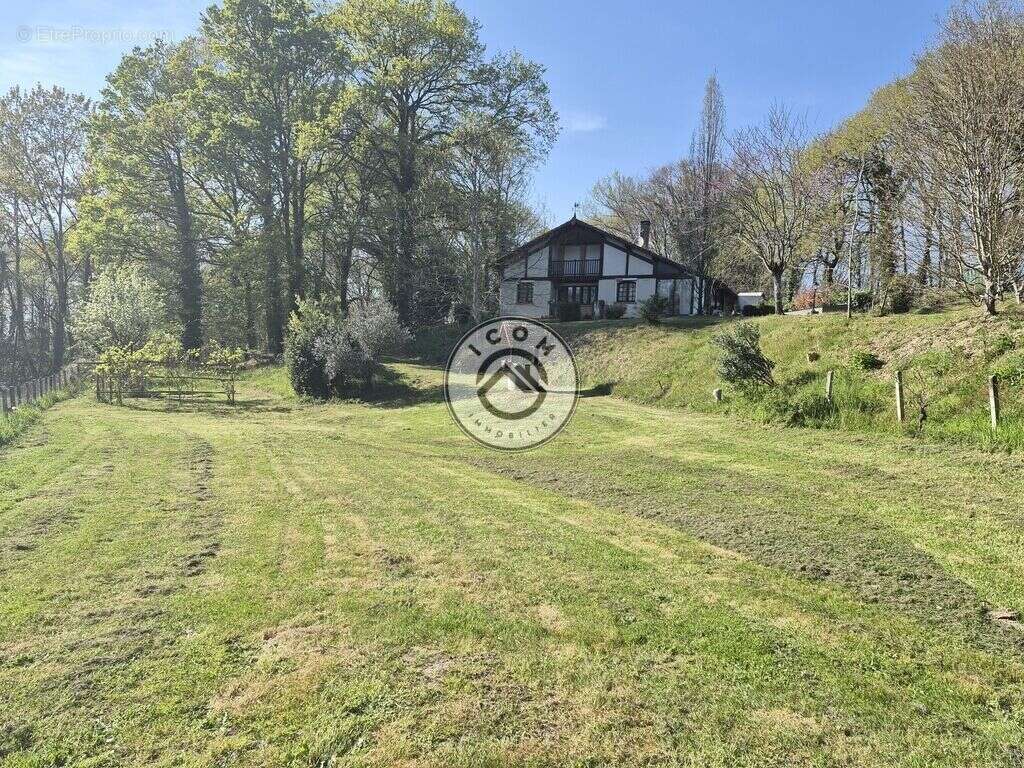 Deux maisons indépendantes sur plus d'un hectare de terrain - photo 3