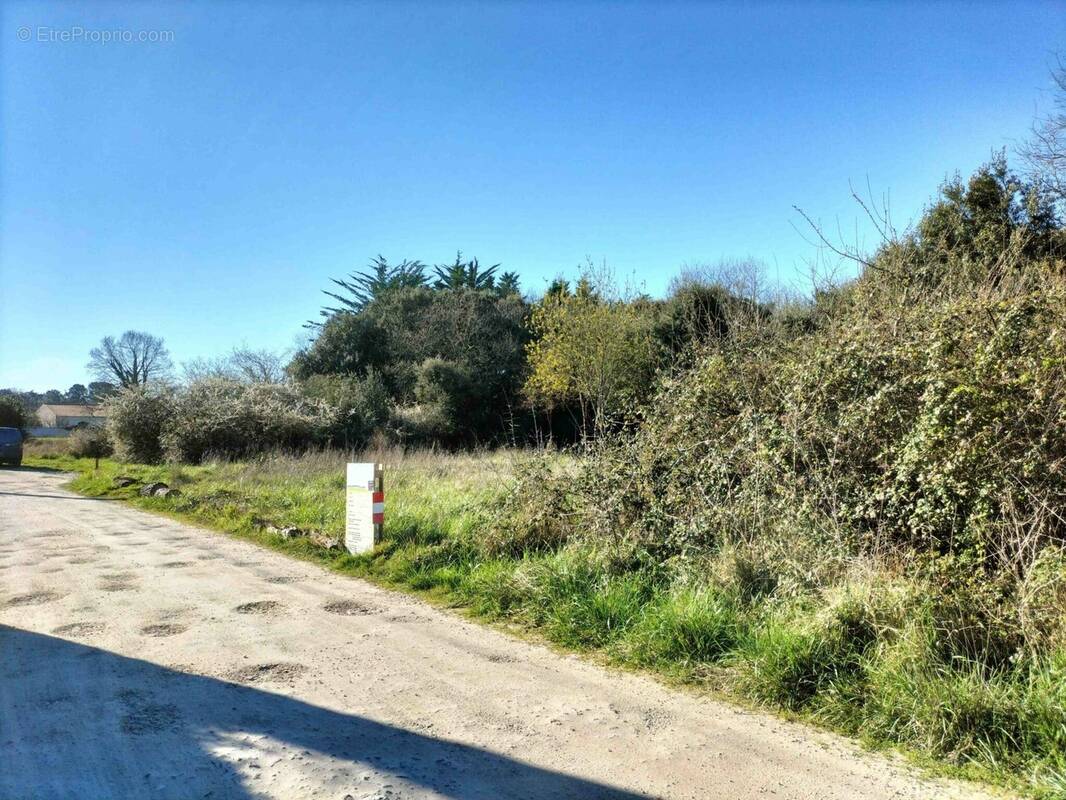 Terrain à DOLUS-D&#039;OLERON