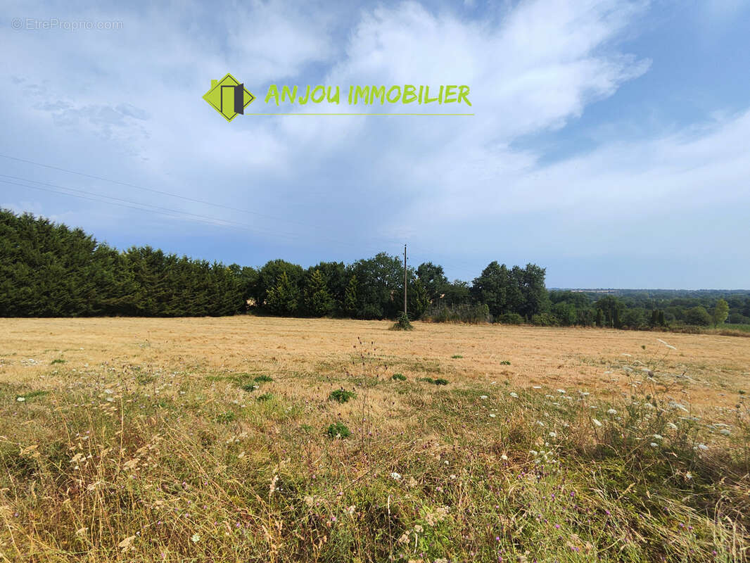 Longère en pierre apparente à Bouchamps-Les-Craon. - photo 15