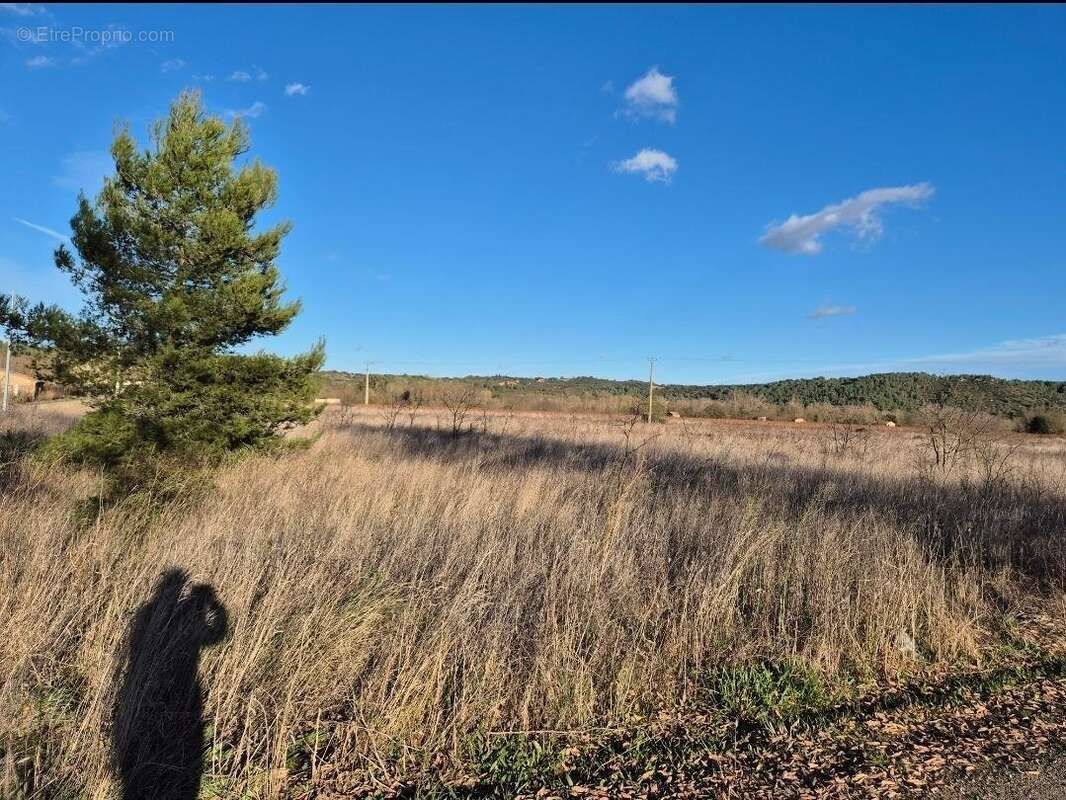 Terrain à CESSENON-SUR-ORB