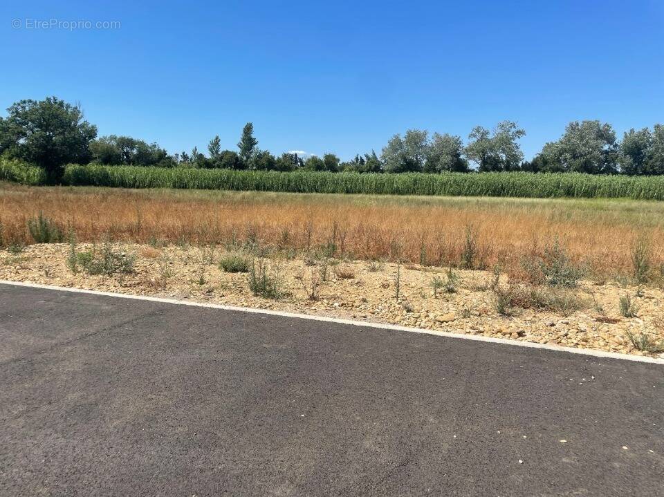 Terrain à SAINT-MARTIN-DE-CRAU