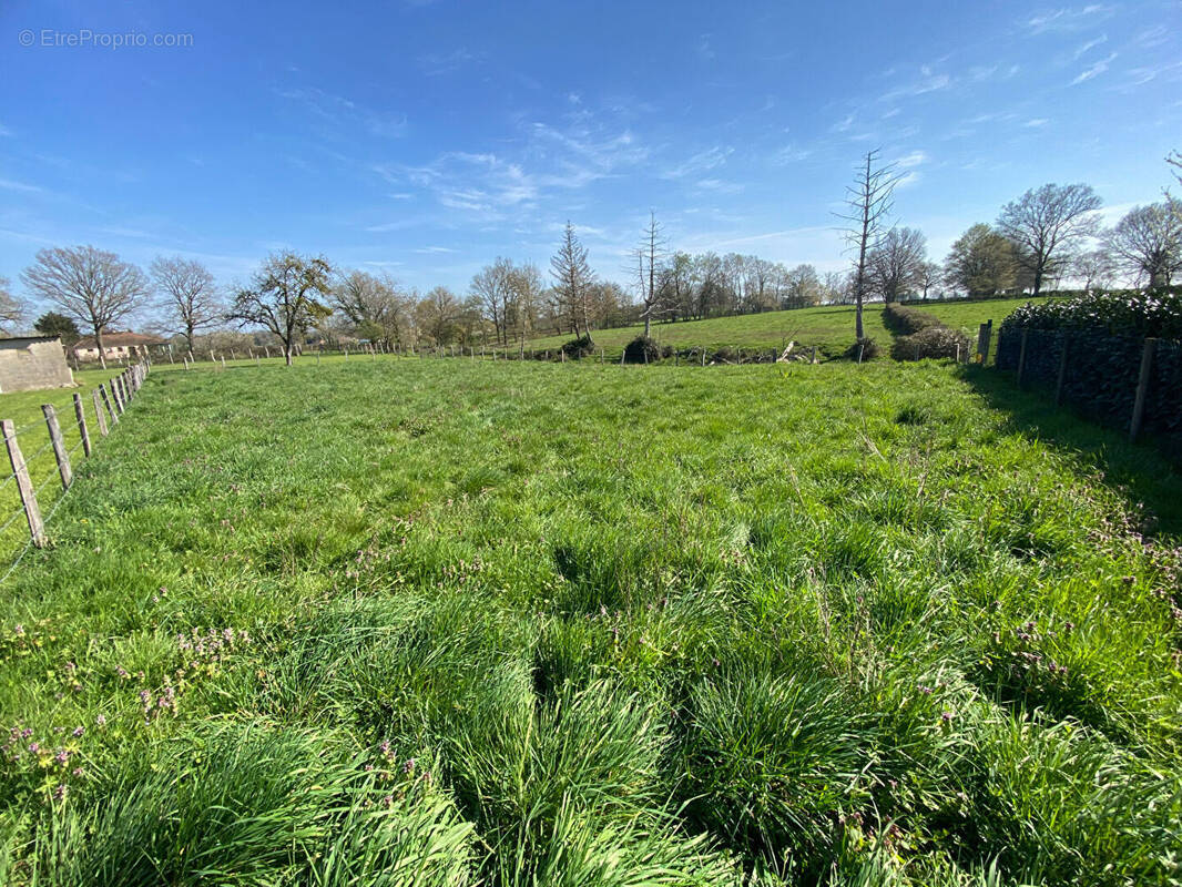 Terrain à SAINT-LEGER-LES-PARAY