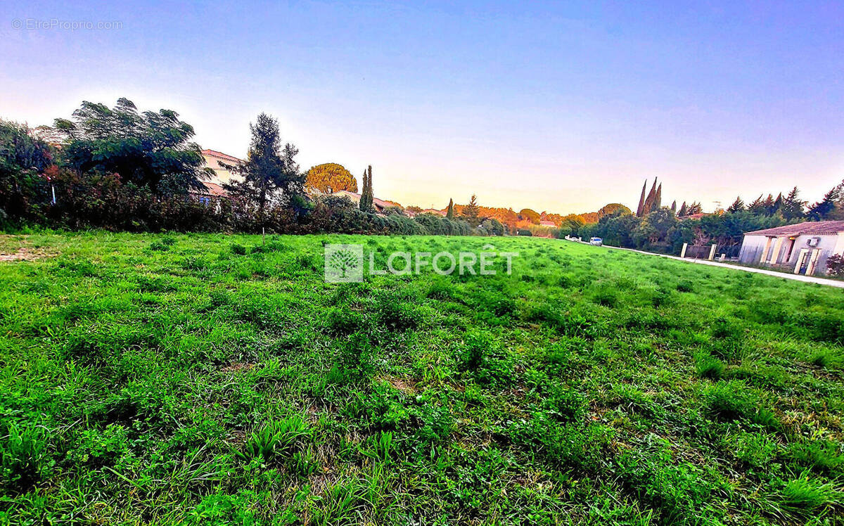 Terrain à FONTVIEILLE