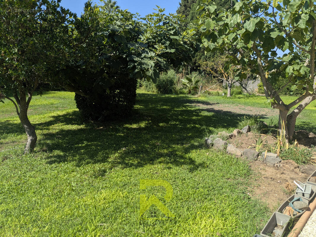Terrain à AGDE