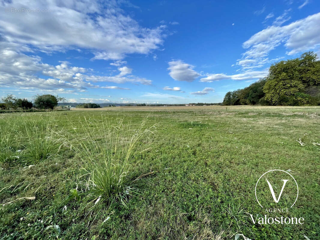 Terrain à MONSEGUR