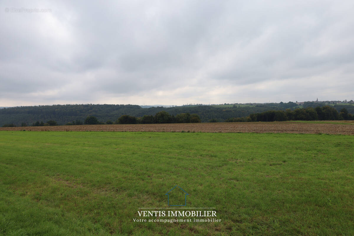 Terrain à DANNELBOURG