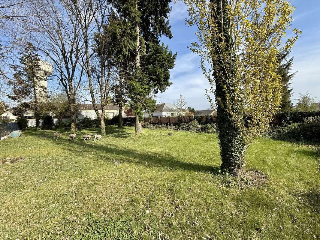 Terrain 505 m² à Chaingy  - photo 3