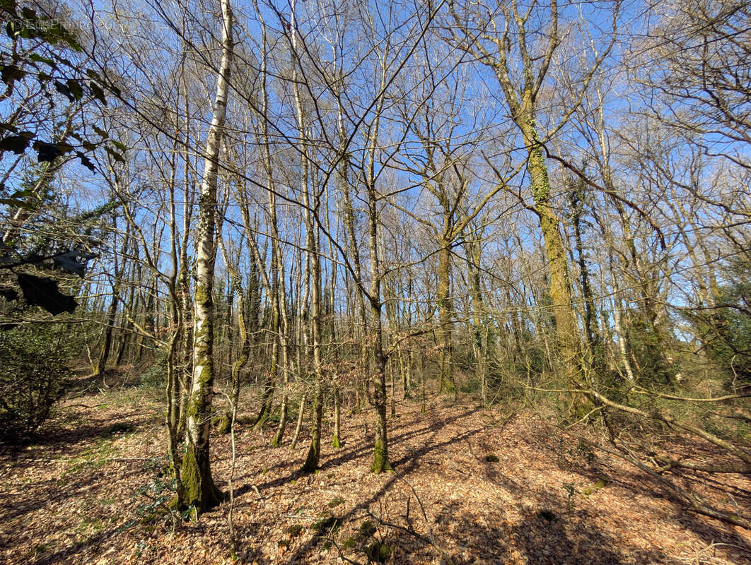 Terrain à CAMPENEAC