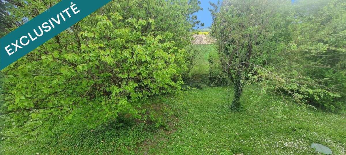 Photo 6 - Maison à ANTRAN