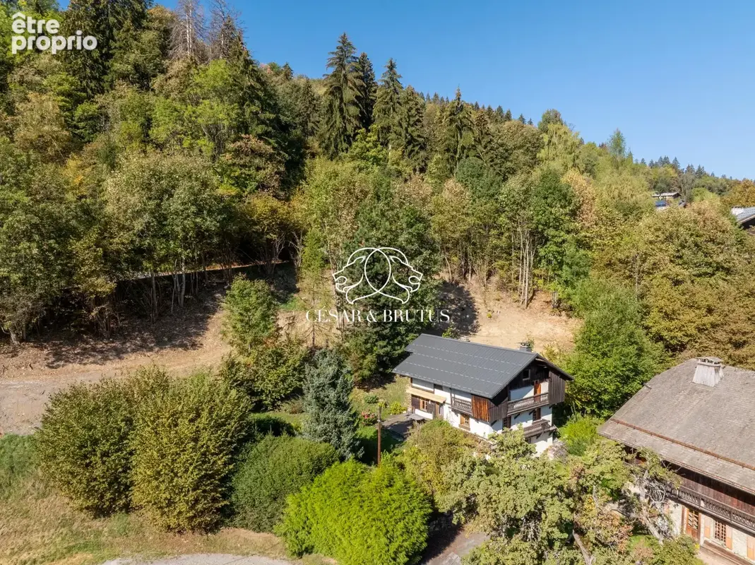 Terrain 1 065 m² à vendre à Saint-Gervais-Les-Bains (74170) - photo 7