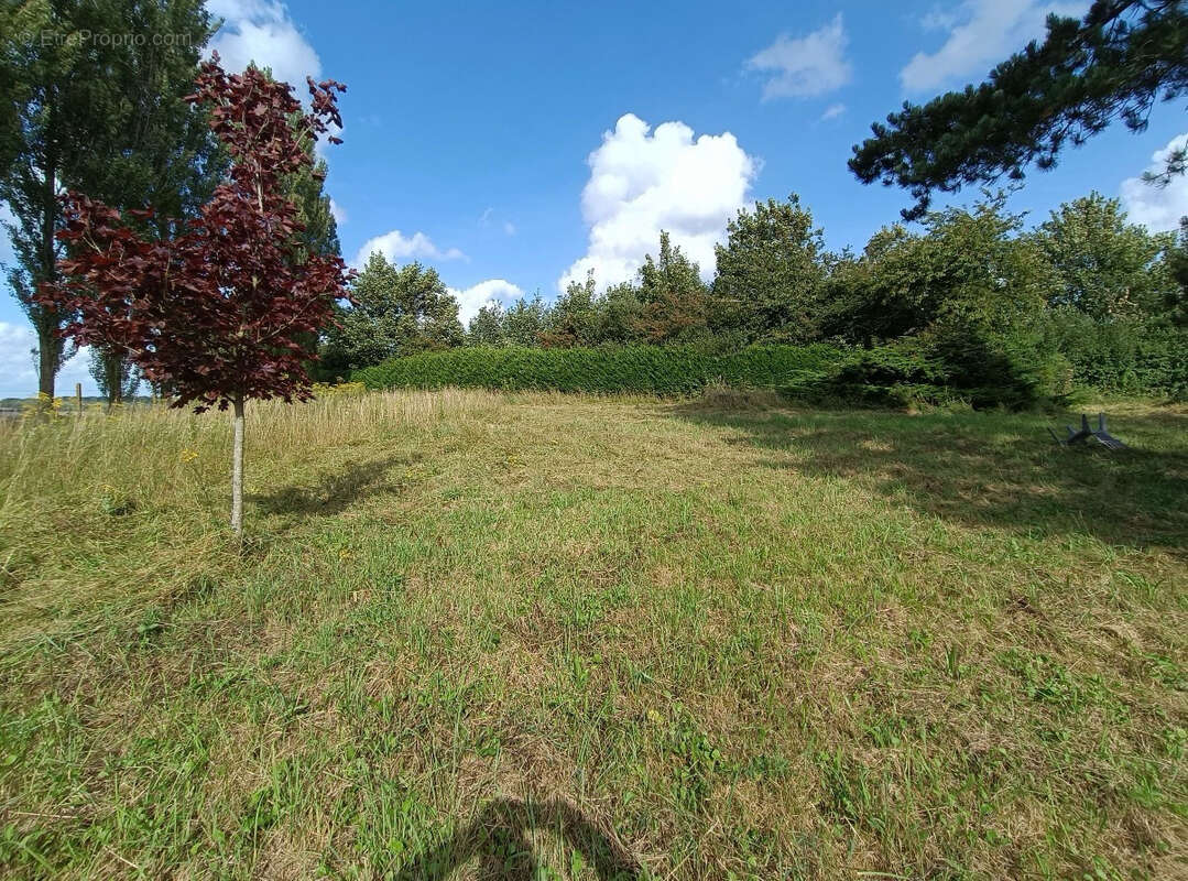 Appartement 50m² à bonningues-lès-ardres - photo 5